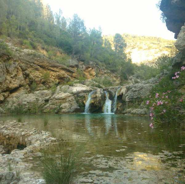 Acampada en Bicorp – 7 y 8 de septiembre de 2019 – ANVA – Associació