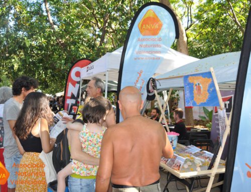 Ecos de la Fira Alternativa