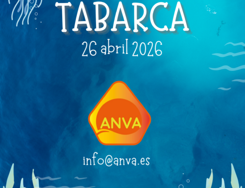 ACTIVITAT 26 D’ABRIL 2026 ILLA DE TABARCA