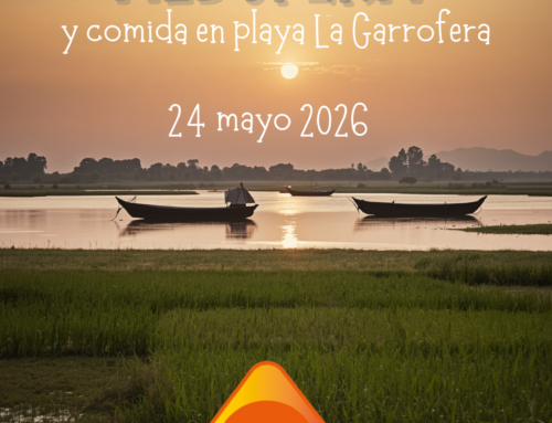 ACTIVITAT 24 MAIG 2026 Passeig en barca per l’Albufera i dinar a la Garrofera/Actividad 24 de mayo. Paseo en barca por la Albufera y comida en la Garrofera